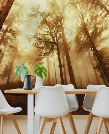 Orange Tinted Forest Wallpaper