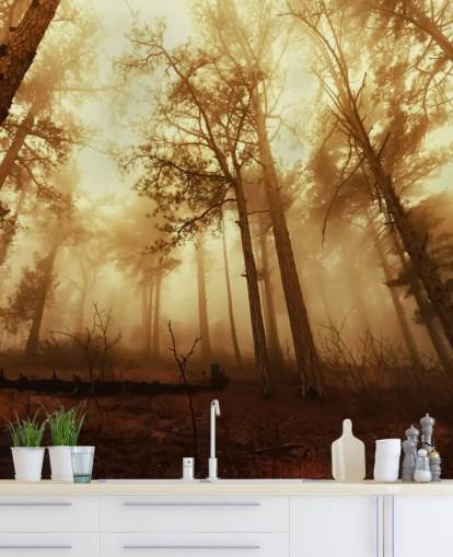 Papel pintado Bosque teñido de naranja