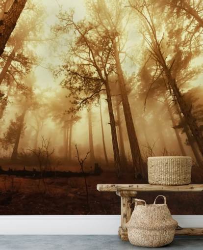 Papel pintado Bosque teñido de naranja