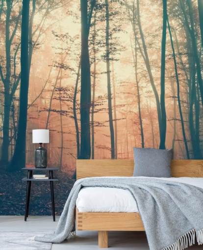 Sunset Forest Baggrund