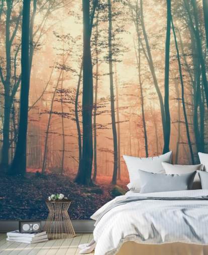 papel de parede Sunset Forest