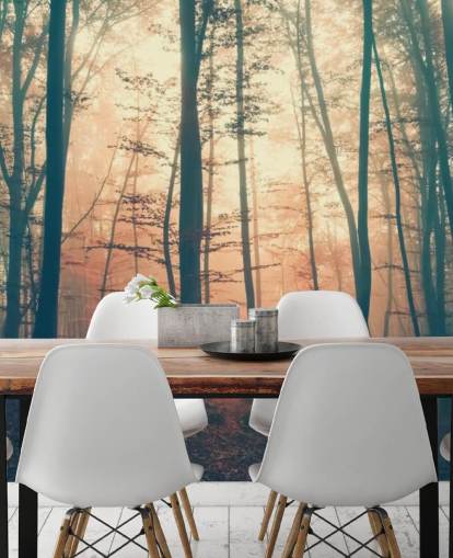 Sunset Forest Wallpaper