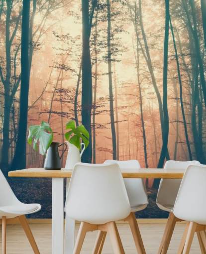 Sunset Forest Wallpaper