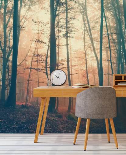 Papier peint Sunset Forest