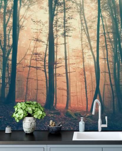 Sunset Forest Wallpaper