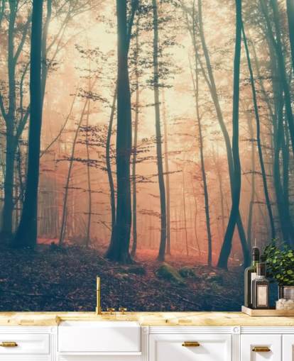 Papier peint Sunset Forest