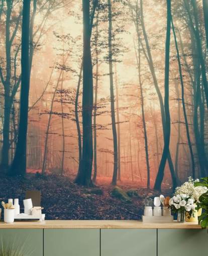 Sunset Forest behang Sunset Forest behang