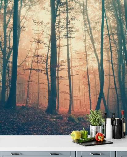 Sunset Forest Wallpaper