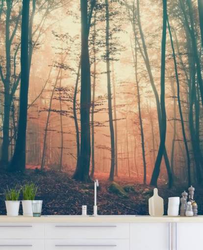 Papier peint Sunset Forest Papier peint Sunset Forest