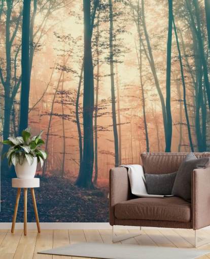 papel de parede Sunset Forest papel de parede Sunset Forest