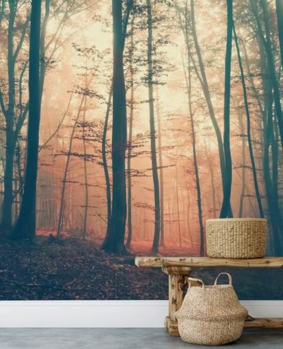 Sunset Forest Baggrund