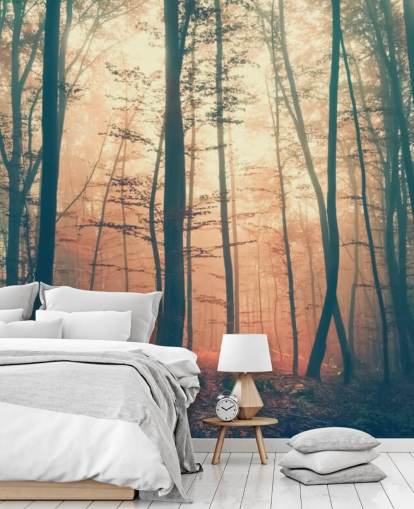 Sunset Forest Wallpaper