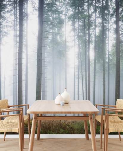 mural de papel de parede de floresta enevoada chamado Morning Forest Mist para quarto, sala de estar ou escritório