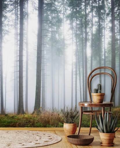 Wandbild mit Nebelwald namens Morning Forest Mist für Schlafzimmer, Wohnzimmer oder Büro