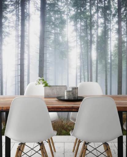 misty forest wallpaper mural called Morning Forest Mist for bedroom, living room or office