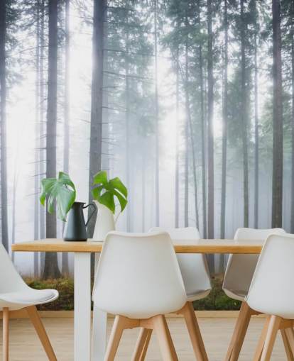 mural de papel de parede de floresta enevoada chamado Morning Forest Mist para quarto, sala de estar ou escritório