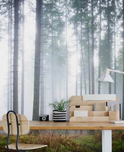 mural de papel de parede de floresta enevoada chamado Morning Forest Mist para quarto, sala de estar ou escritório