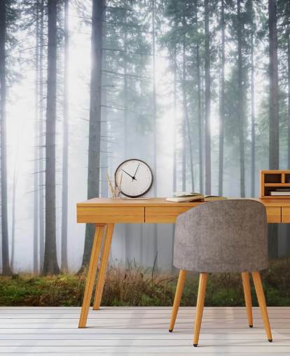 dimmig skog tapetväggmålning kallad Morning Forest Mist för sovrum, vardagsrum eller kontor