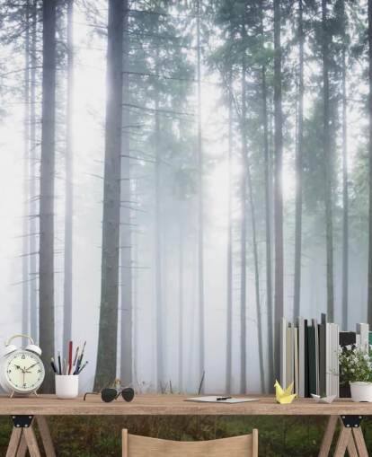 sumuinen metsän taustakuvamaalaus nimeltä Morning Forest Mist makuuhuoneeseen, olohuoneeseen tai toimistoon sumuinen metsän taustakuvamaalaus nimeltä Morning Forest Mist makuuhuoneeseen, olohuoneeseen tai toimistoon