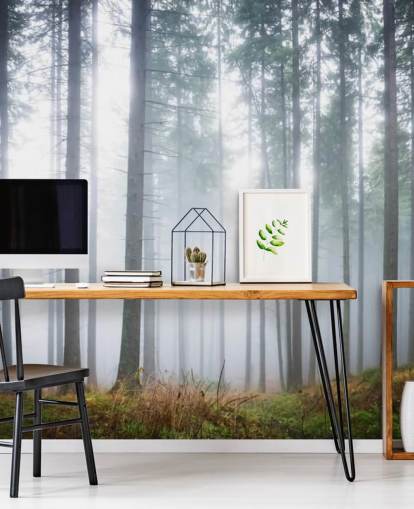 papier peint mural Misty Forest appelé Morning Forest Mist pour chambre à coucher, salon ou bureau