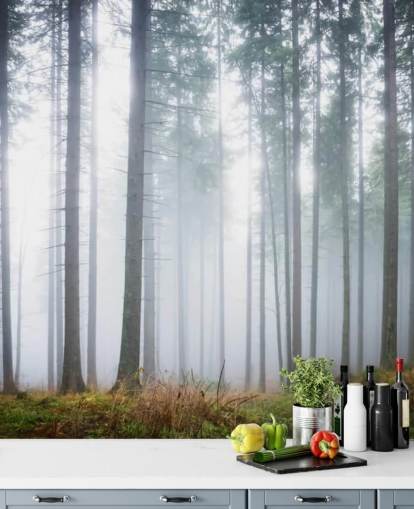 misty forest wallpaper mural called Morning Forest Mist for bedroom, living room or office