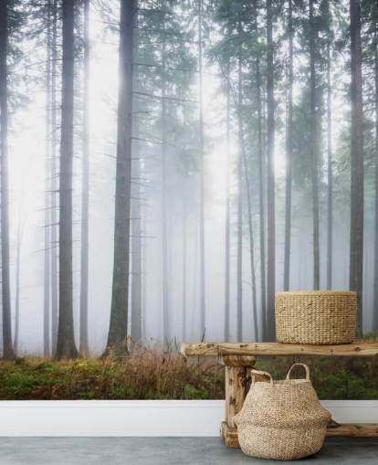 misty forest wallpaper mural called Morning Forest Mist for bedroom, living room or office