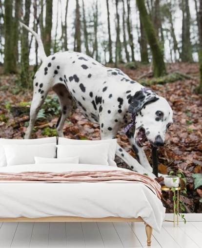 Papel pintado Perro manchado blanco y negro jugando con palo en otoño