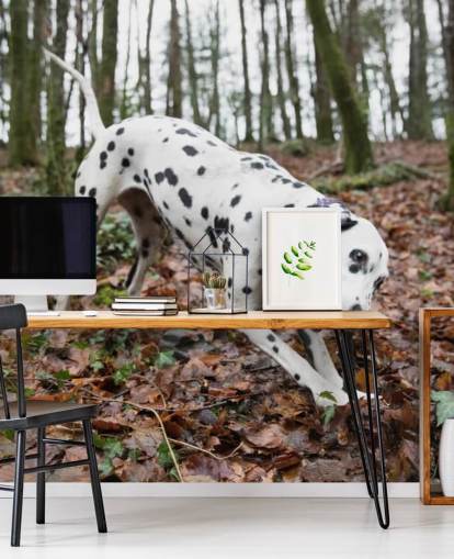 Papier peint chien tacheté noir et blanc jouant avec un bâton dans la forêt d'automne