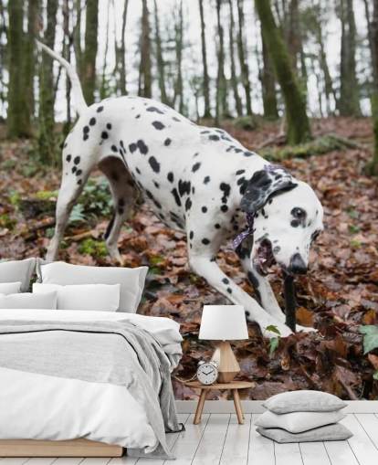 Papel pintado Perro manchado blanco y negro jugando con palo en otoño