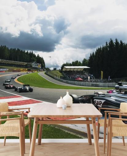 brillante mural de papel pintado de F1 llamado Lap 1 Belgium 2014 de Darren Heath para dormitorios y oficinas en casa brillante mural de papel pintado de F1 llamado Lap 1 Belgium 2014 de Darren Heath para dormitorios y oficinas en casa