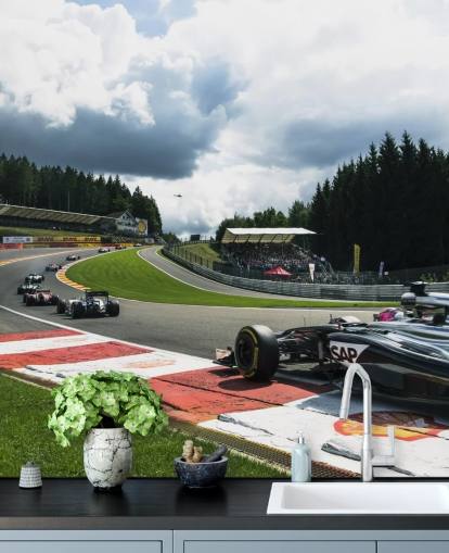 bright F1 wallpaper mural called Lap 1 Belgium 2014 by Darren Heath for bedrooms and home offices