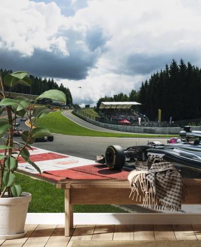brillante murale di carta da parati F1 chiamato Lap 1 Belgium 2014 di Darren Heath per camere da letto e uffici domestici