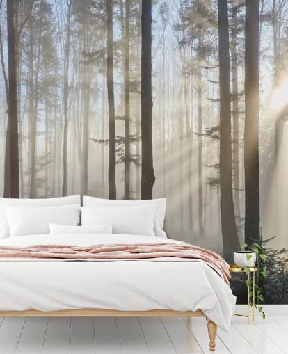 Fondo de pantalla Misty Dark Forest