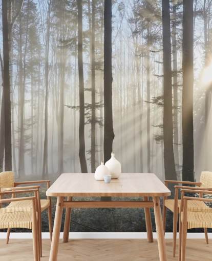 Misty Dark Forest Wallpaper