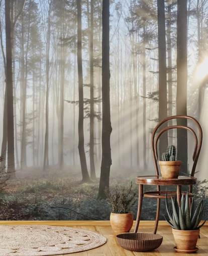 Carta da parati Misty Dark Forest Carta da parati Misty Dark Forest