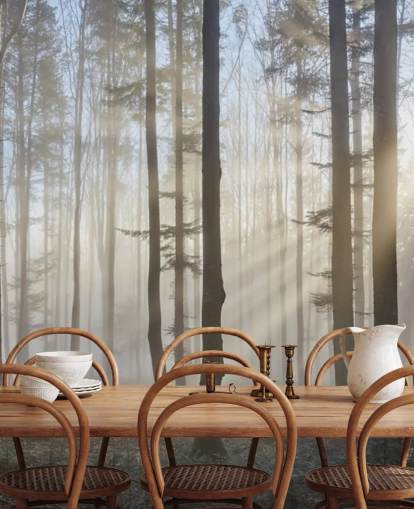 Tåkete Mørk Skog Bakgrunn