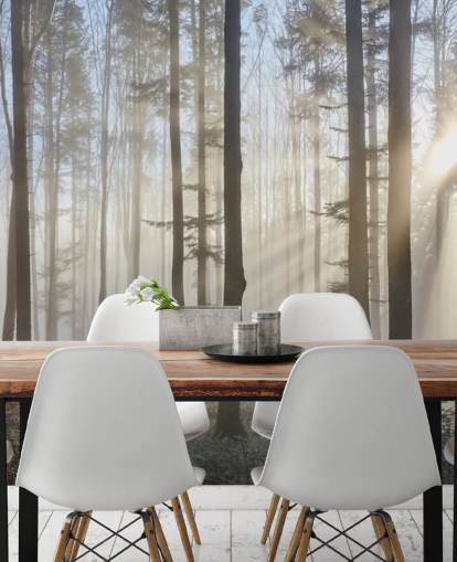 Fondo de pantalla Misty Dark Forest