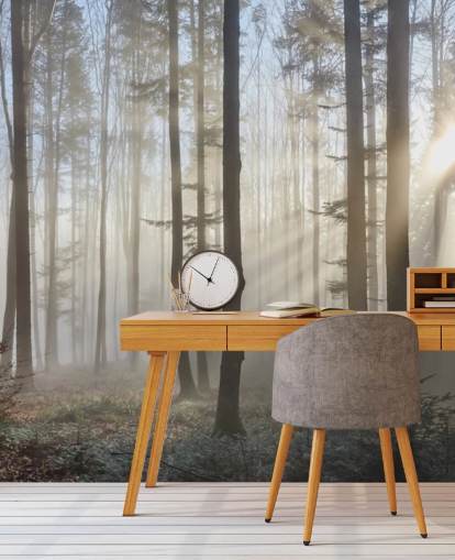 Misty Dark Forest behang