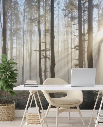 Fondo de pantalla Misty Dark Forest