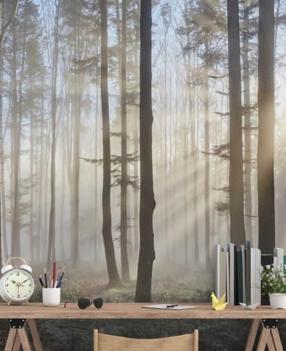 Fondo de pantalla Misty Dark Forest