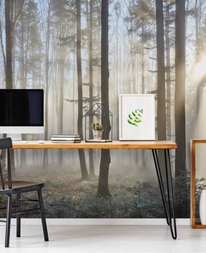 Misty Dark Forest Wallpaper