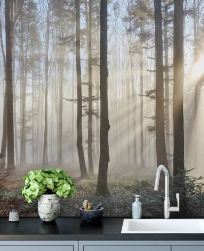 Misty Dark Forest behang Misty Dark Forest behang
