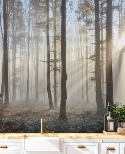 Fondo de pantalla Misty Dark Forest