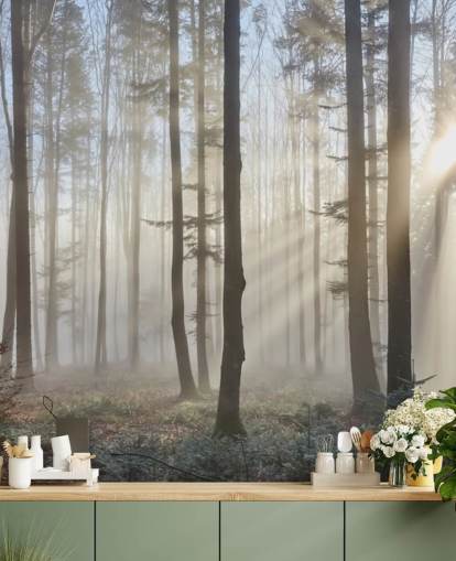Misty Dark Forest Wallpaper Misty Dark Forest Wallpaper