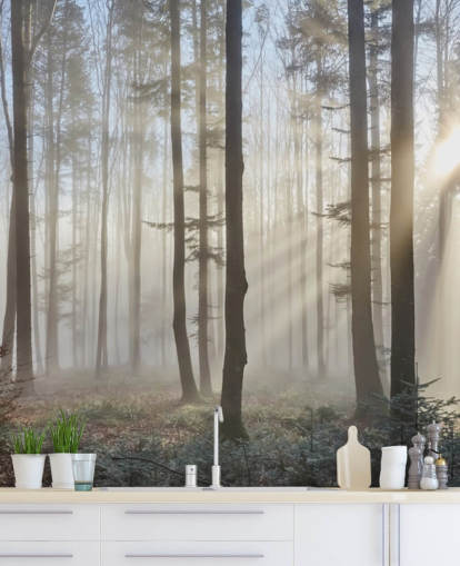 Nebliger dunkler Wald Tapete