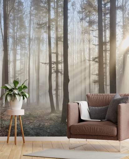 Papier peint Misty Dark Forest