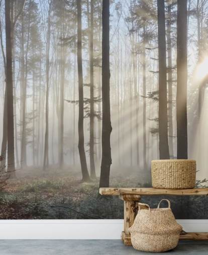 Carta da parati Misty Dark Forest