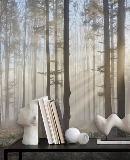 Fondo de pantalla Misty Dark Forest