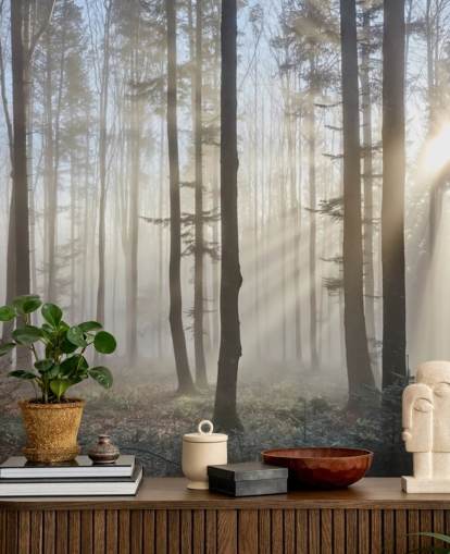 Misty Dark Forest Wallpaper