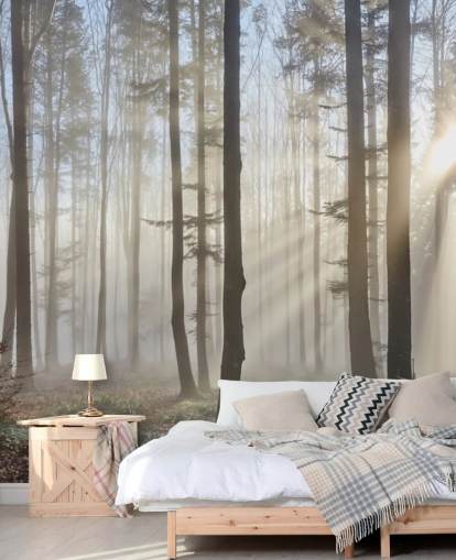 Fondo de pantalla Misty Dark Forest